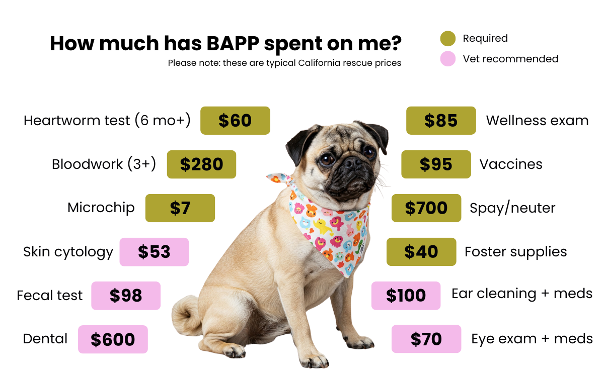 How much has the rescue spent (1200 x 750 px)