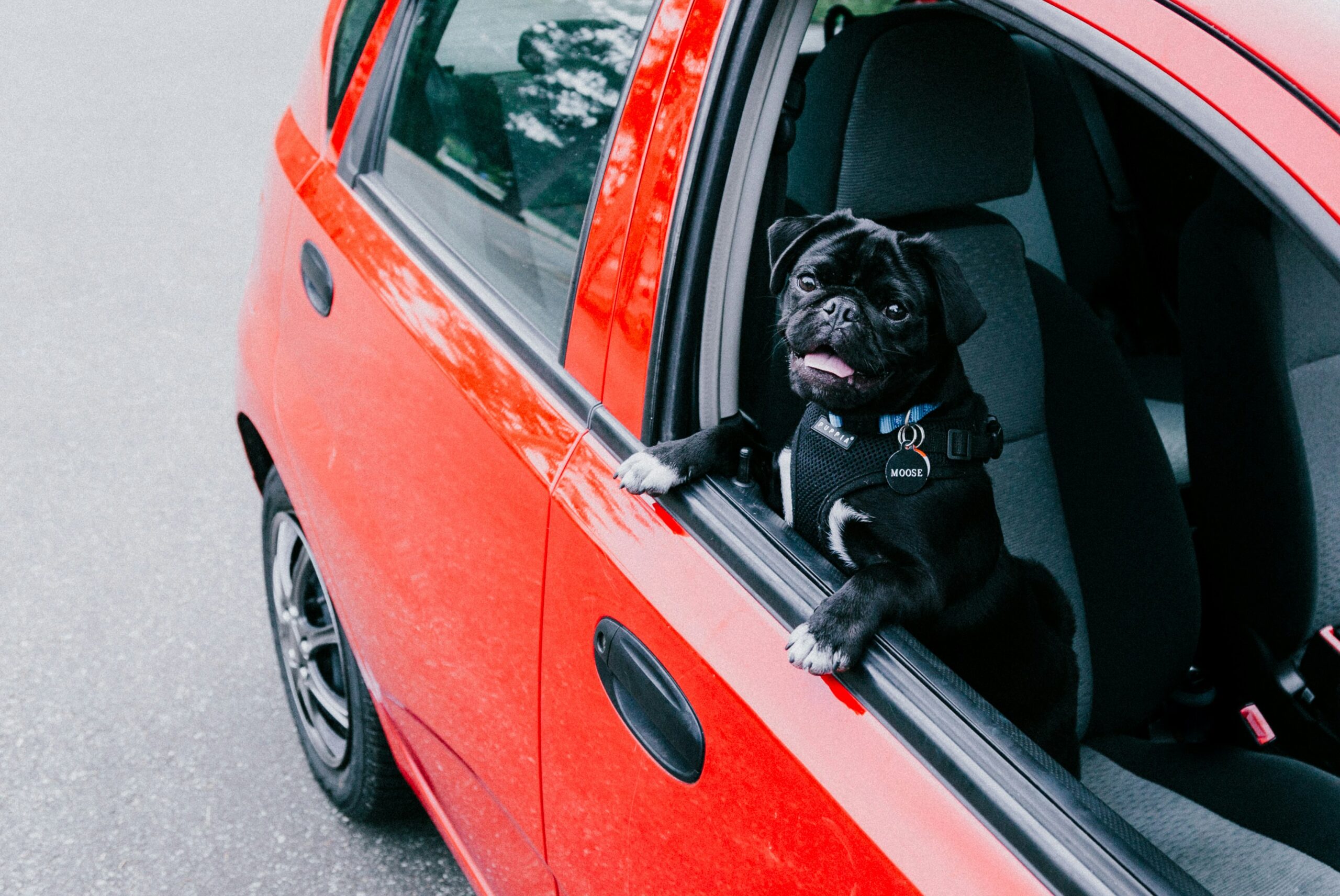 priscilla-du-preez-YPlKmZxsGJc-unsplash (1)