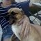 Bruno