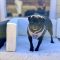 Chloe
